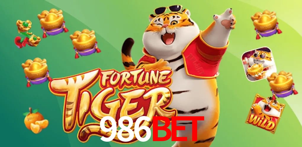 Sports Statistics 986bet